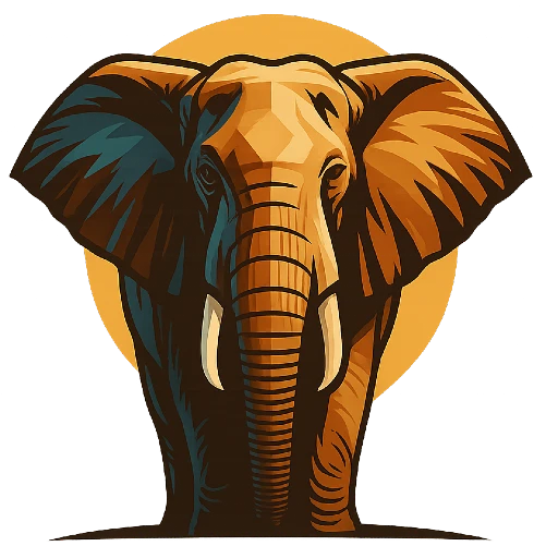 Cape Town Safari Tours